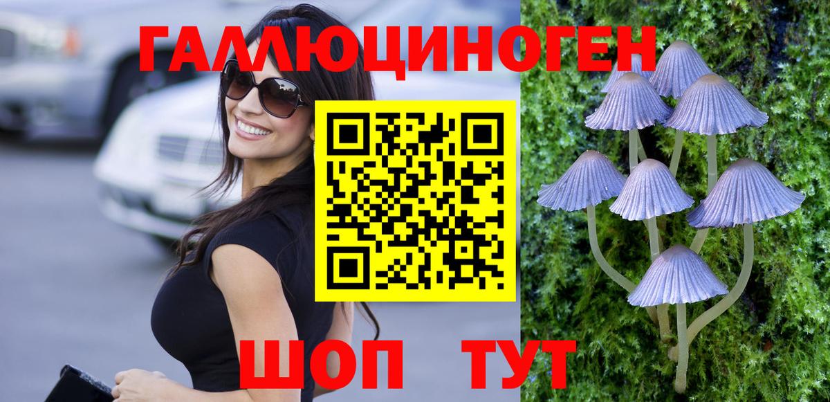 Псилоцибиновые грибы GOLDEN TEACHER  Вход с VPN  Мурино 